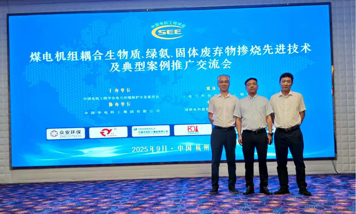 煤電機(jī)組耦合生物質(zhì) 綠氨.png